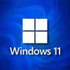 Windows 11