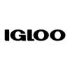 Igloo