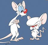 Pinky and the Brain