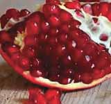 Pomegranate