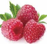 Raspberry