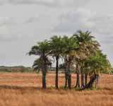 Guinea-Bissau