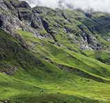 Valley of Flowers National Park<span>, Chamoli, Uttarakhand</span>