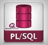 PL/SQL