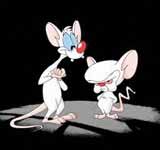 Pinky and the Brain (1995 - 1998)